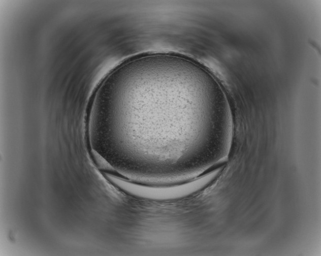 X0000097761183200803141716