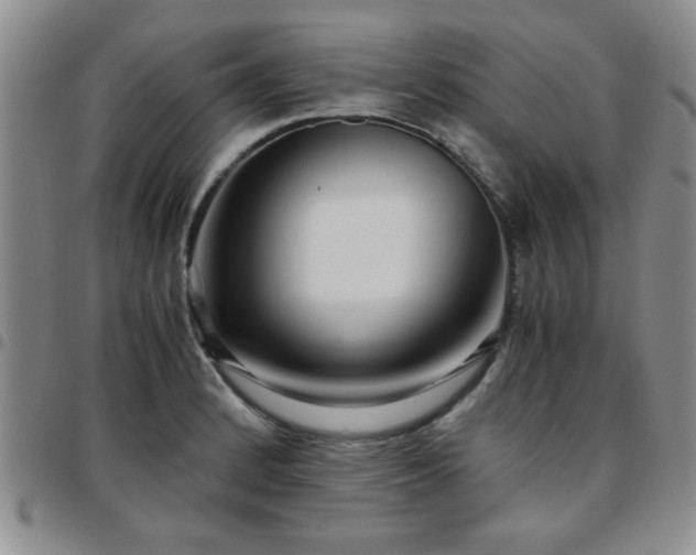 X0000097761184200803141716