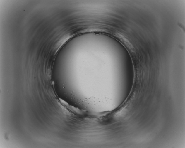 X0000097761185200803141716