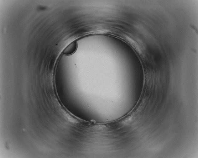 X0000097761186200803141716