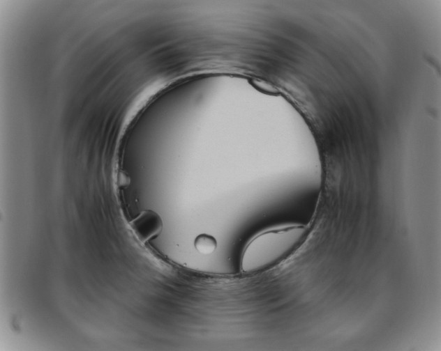 X0000097761188200803141716