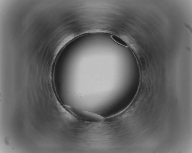 X0000097761189200803141716