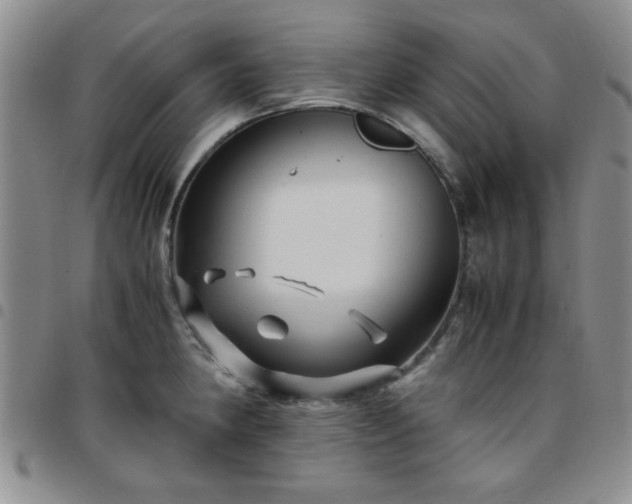 X0000097761190200803141716