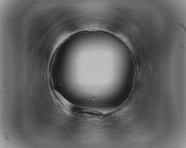 X0000097761191200803141716