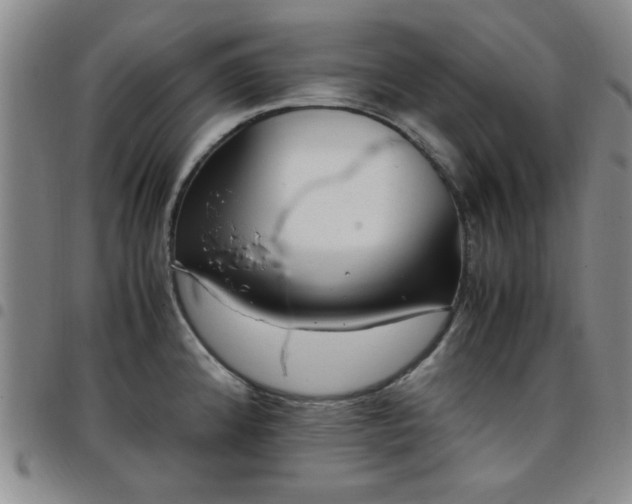 X0000097761192200803141716