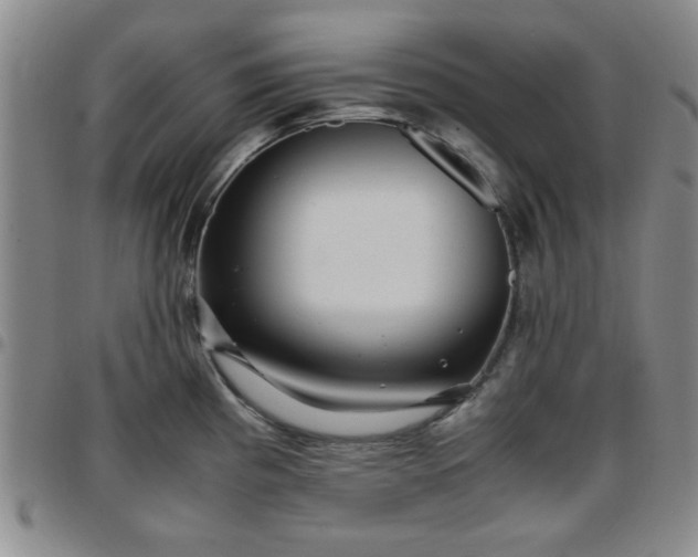 X0000097761193200803141716