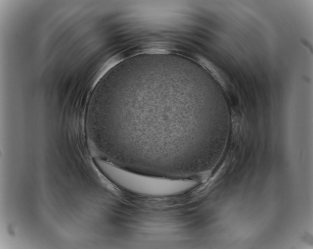 X0000097761194200803141716