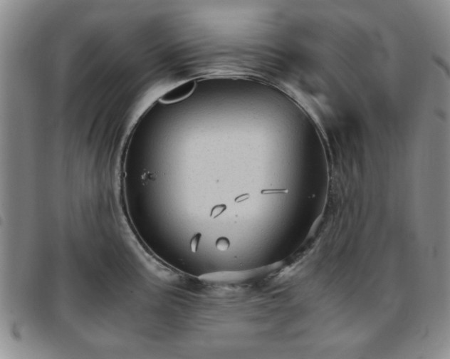 X0000097761195200803141716