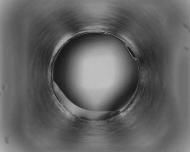 X0000097761196200803141716