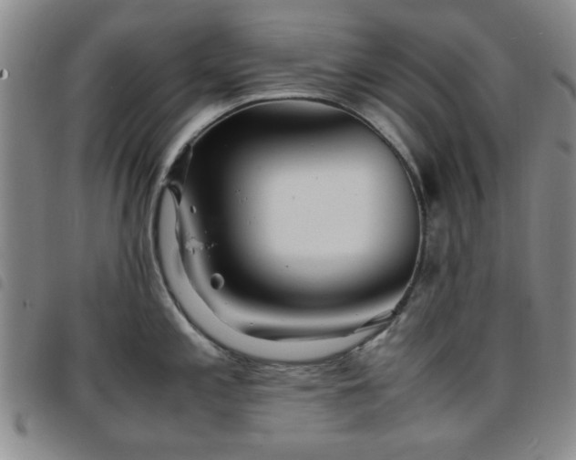 X0000097761197200803141716