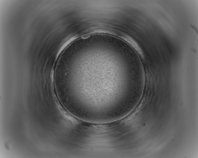 X0000097761198200803141716