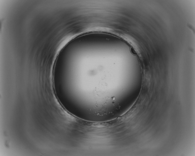 X0000097761199200803141716