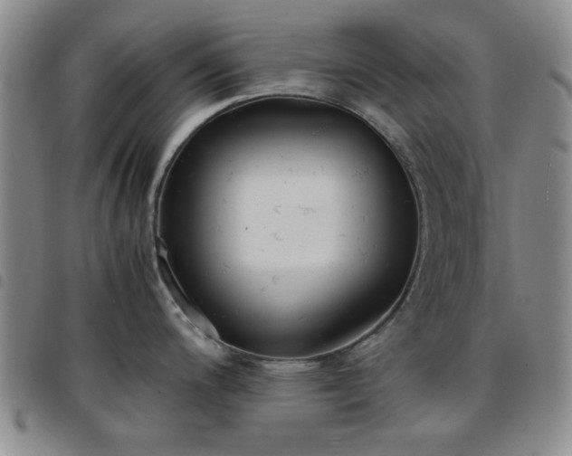 X0000097761200200803141716