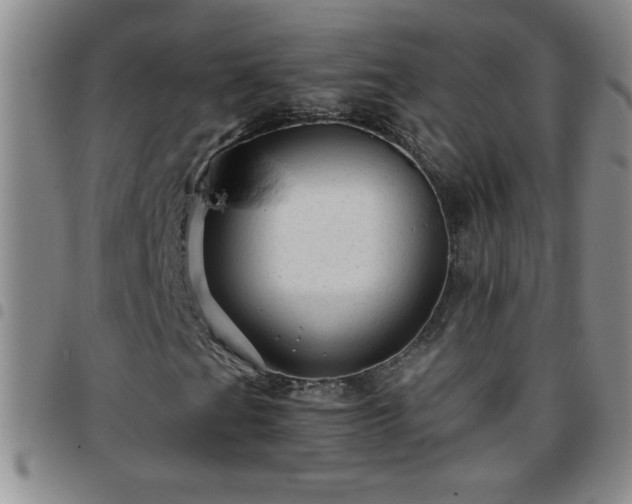 X0000097761201200803141715