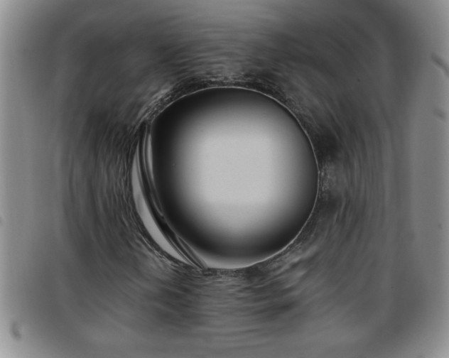 X0000097761202200803141715