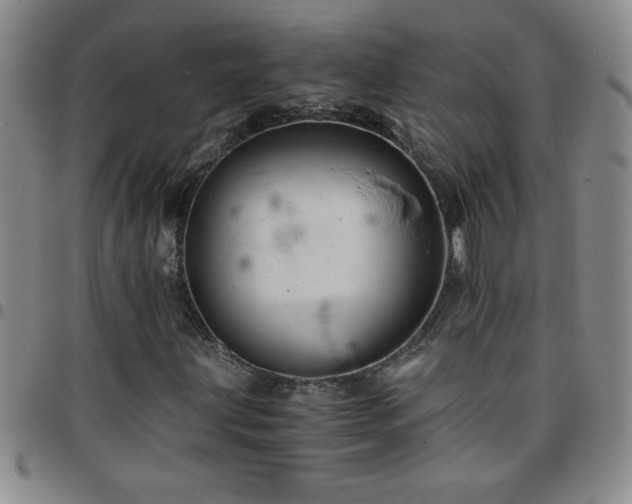 X0000097761203200803141715