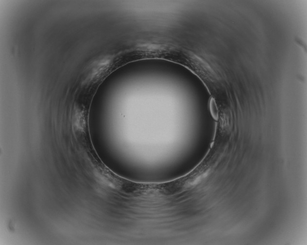 X0000097761204200803141715