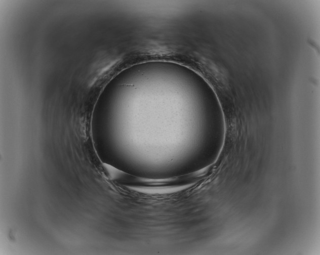 X0000097761205200803141715