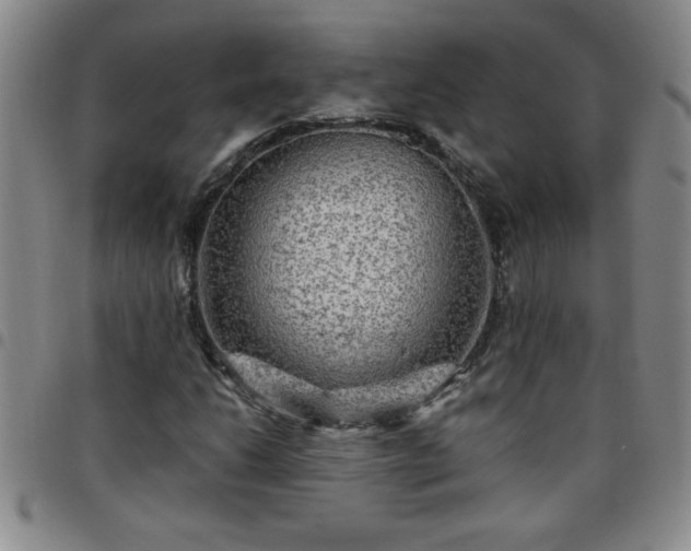 X0000097761206200803141715