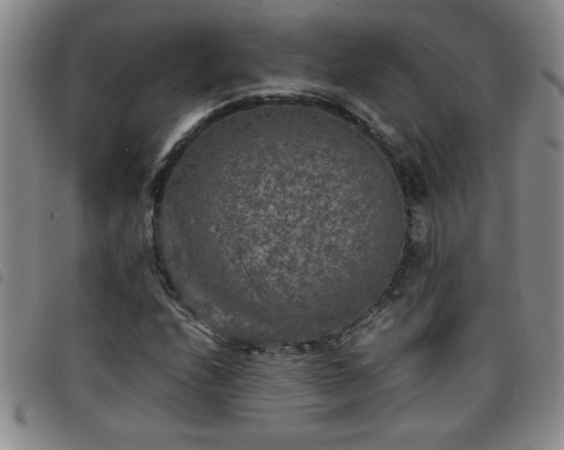 X0000097761208200803141715