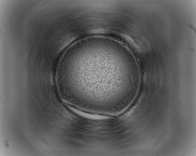 X0000097761209200803141715