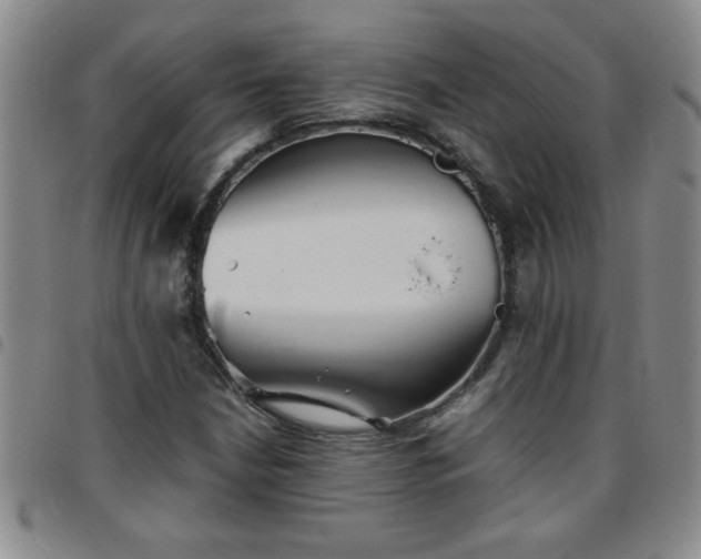 X0000097761210200803141715