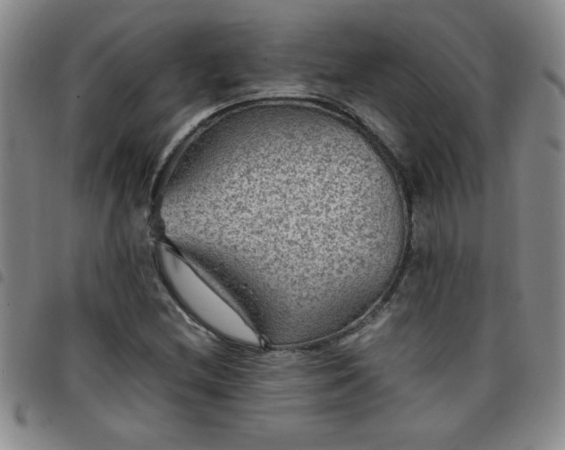 X0000097761212200803141716