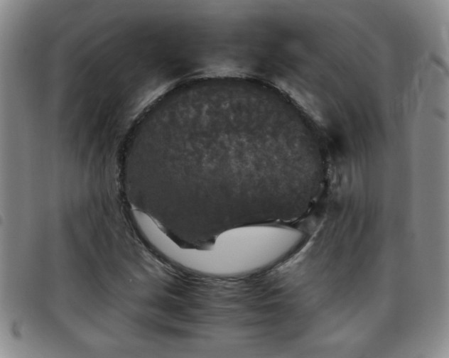 X0000097761213200803141716