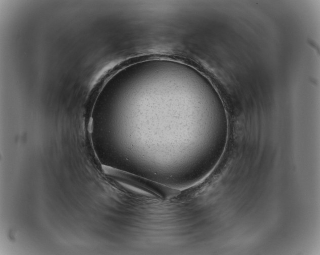 X0000097761214200803141716