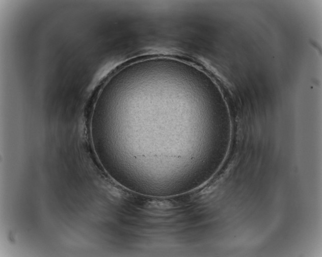 X0000097761215200803141716