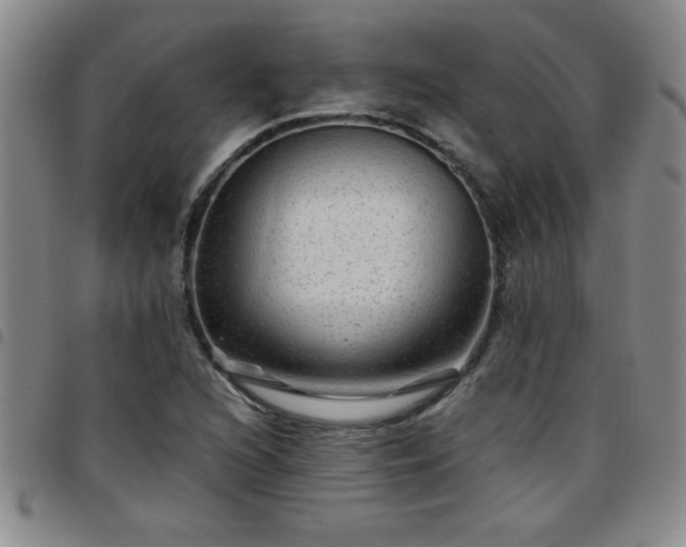 X0000097761216200803141716