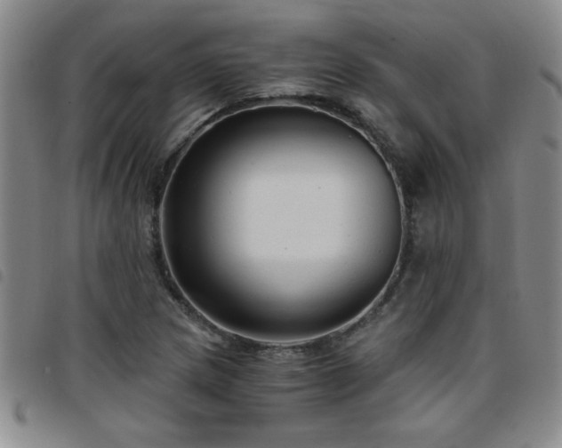 X0000097761217200803141716