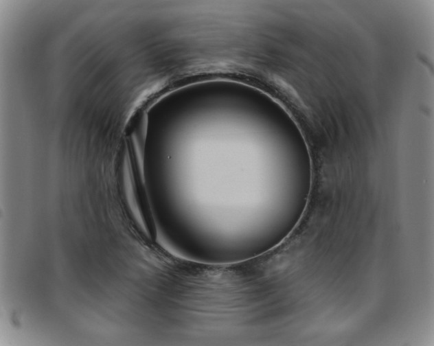 X0000097761218200803141716