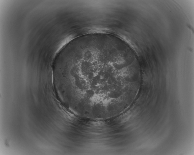 X0000097761219200803141716