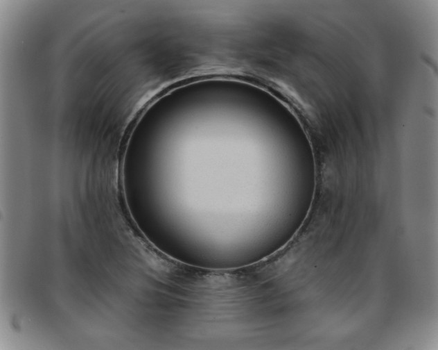 X0000097761220200803141716