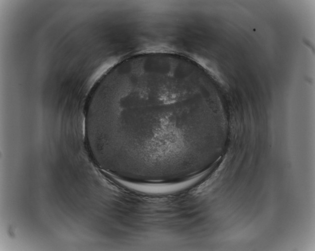 X0000097761221200803141716