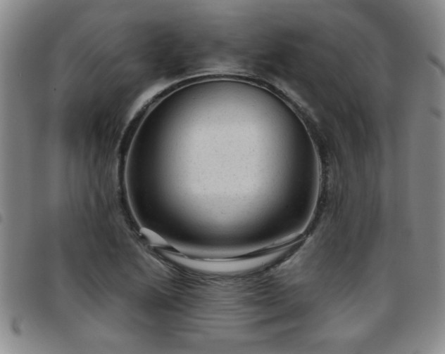 X0000097761222200803141716