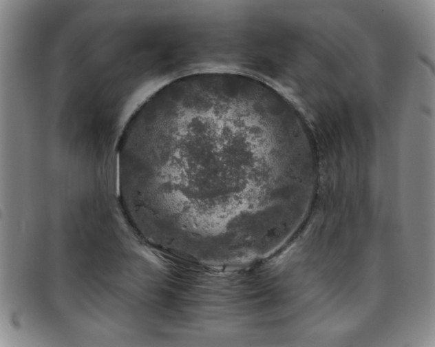 X0000097761223200803141716