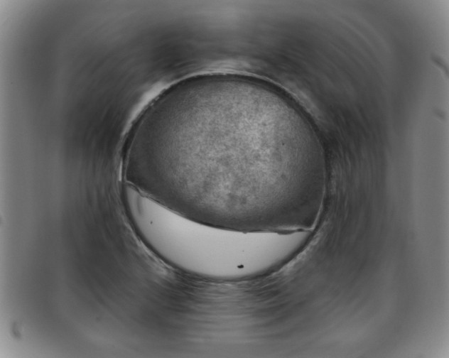 X0000097761224200803141716