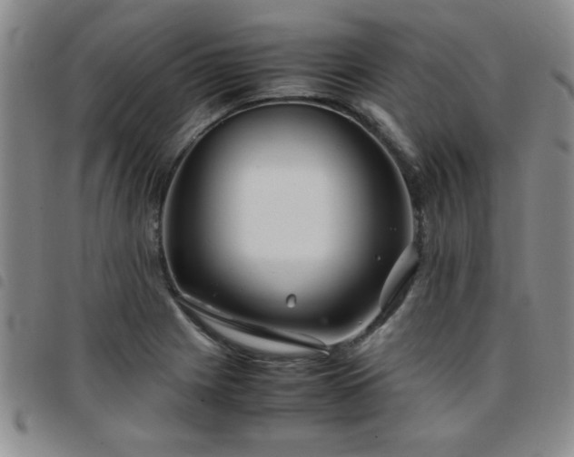 X0000097761225200803141716