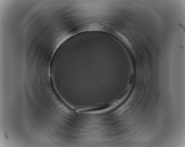 X0000097761226200803141716