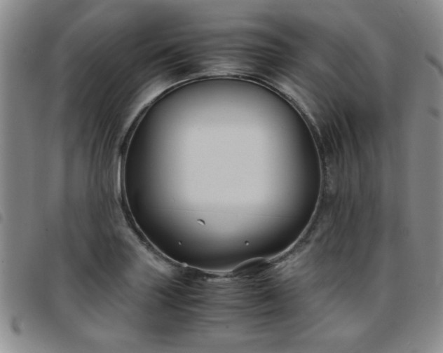 X0000097761227200803141716