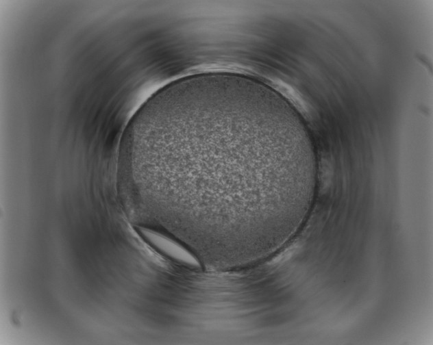 X0000097761228200803141716