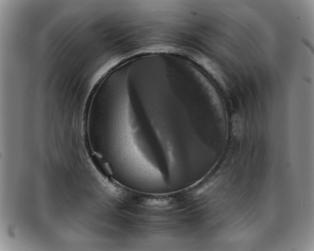 X0000097761229200803141716