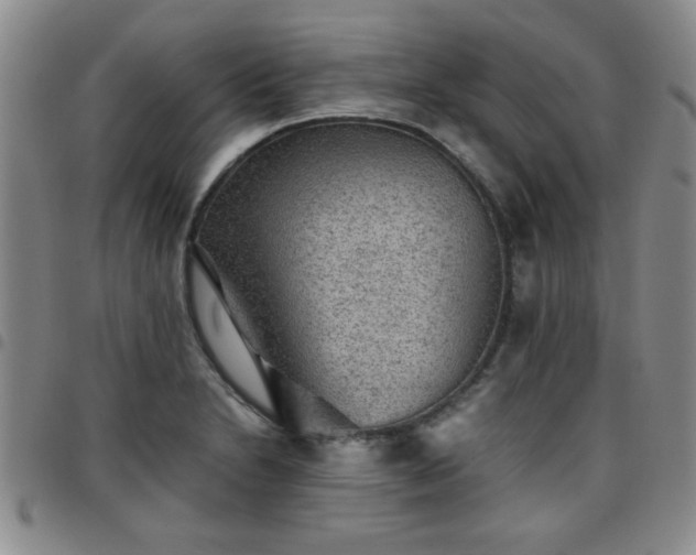 X0000097761230200803141716