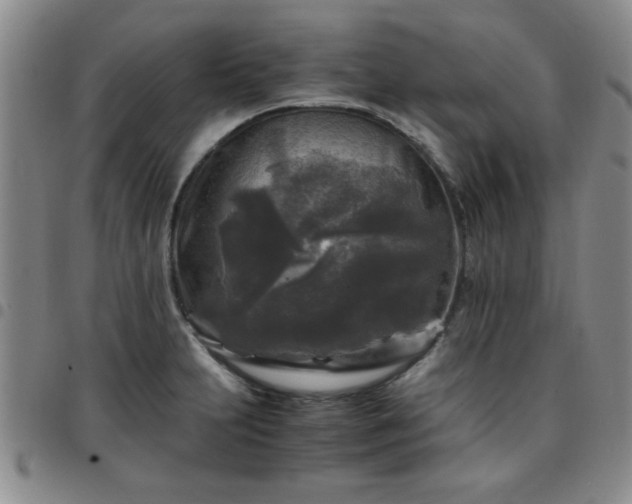 X0000097761231200803141716