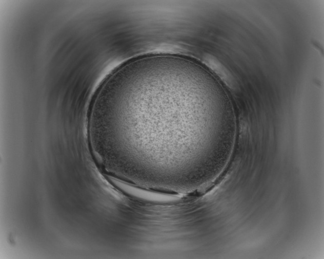 X0000097761232200803141716