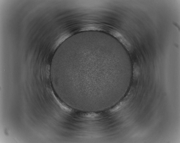 X0000097761233200803141716