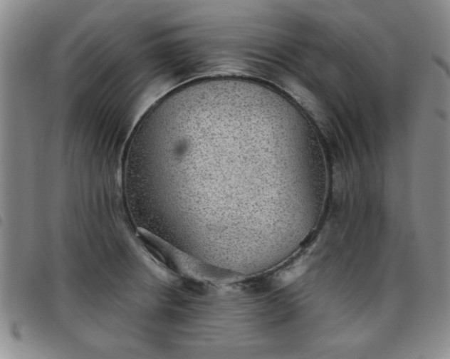 X0000097761234200803141716