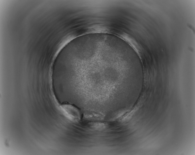 X0000097761235200803141716